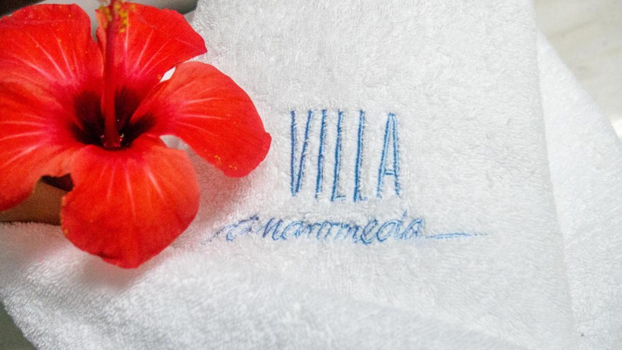 Villa Andromeda ハニア エクステリア 写真
